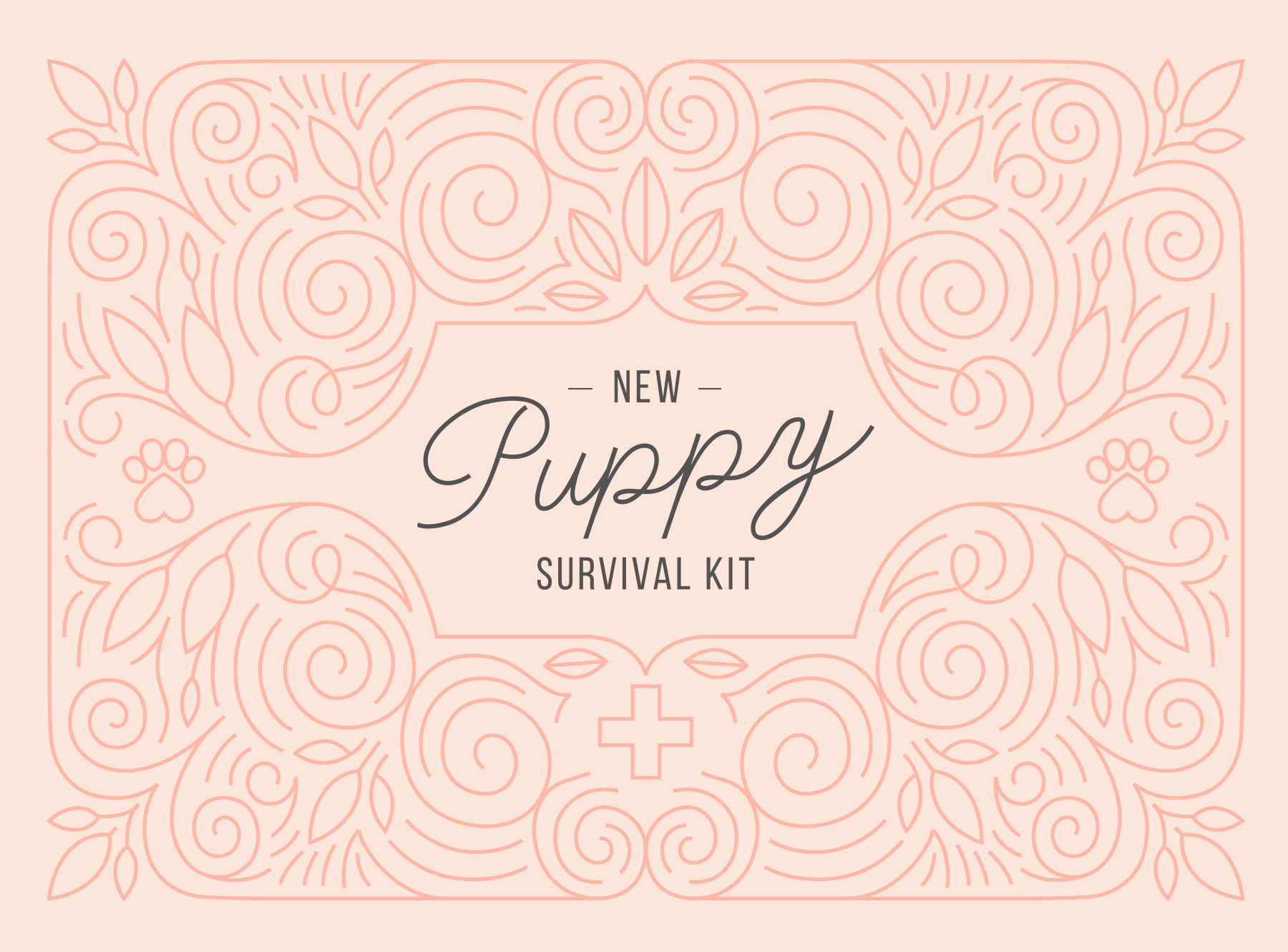 The puppy survival kit