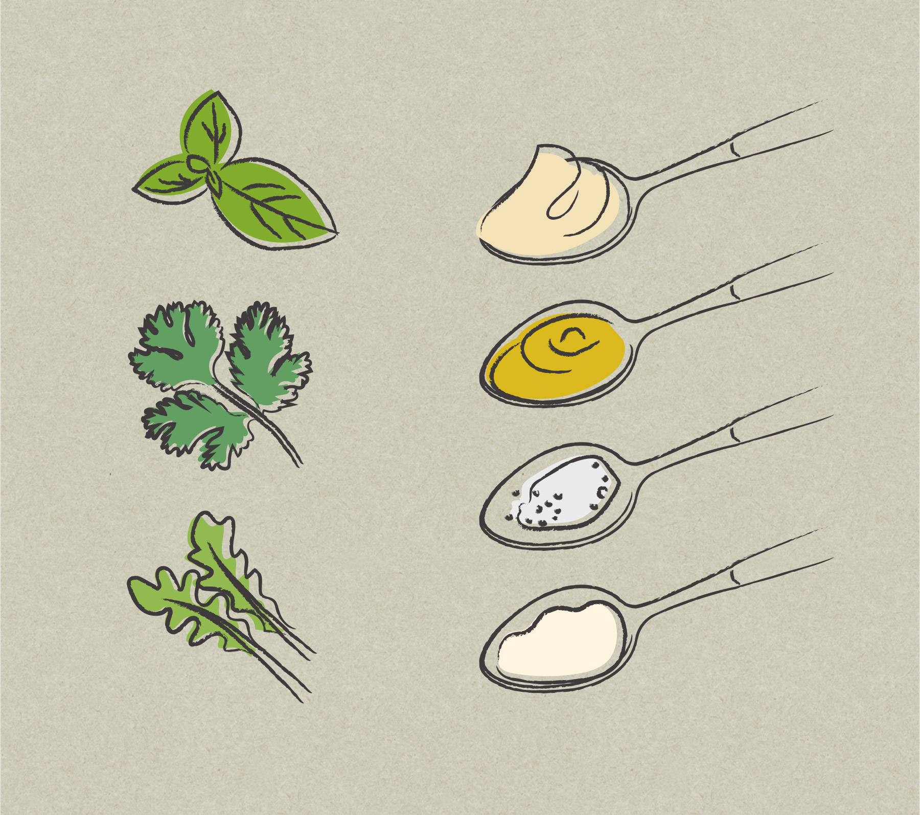 Illustrations of spices and herbs