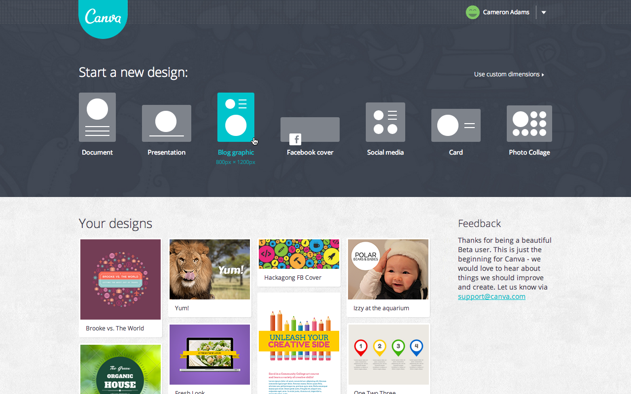 Canva User Example