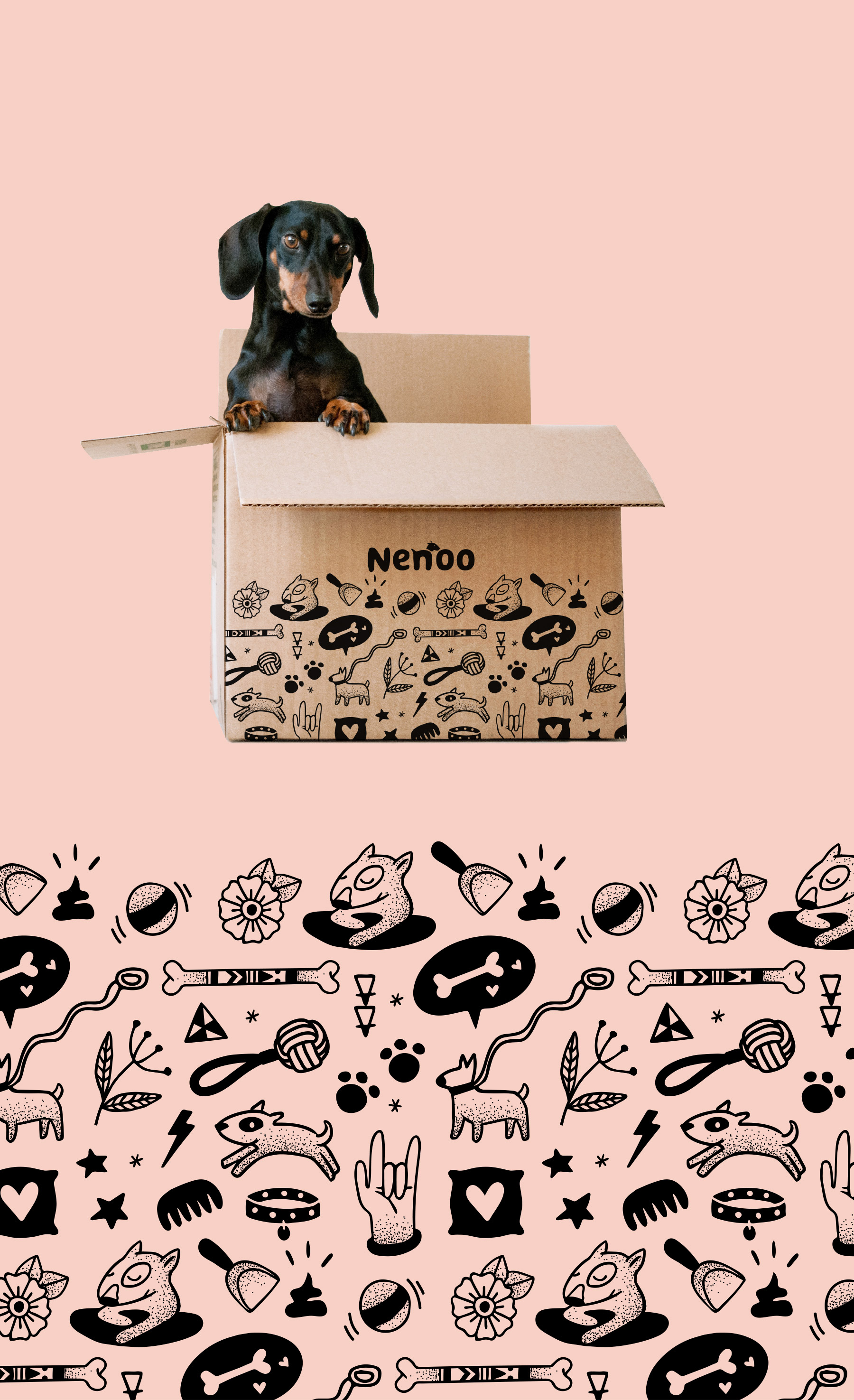 Dog inside shipping box with fun pattern design