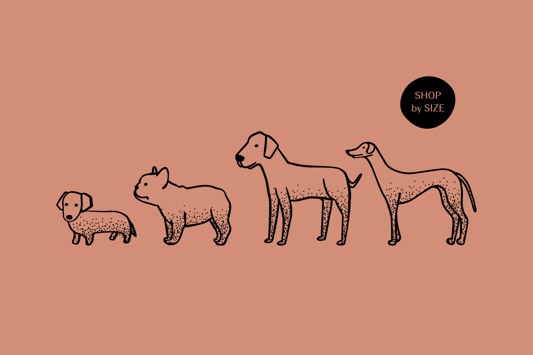 Hand drawn dog breeds in different shapes and sizes