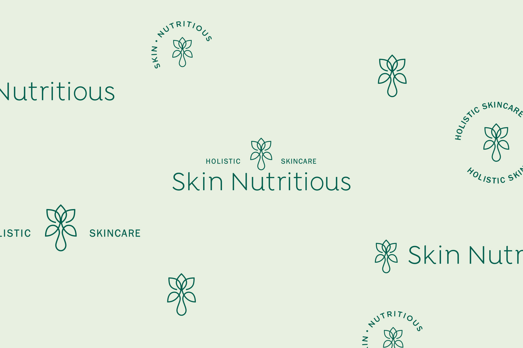 Skin Nutritious brand marks in beautiful layout presentation